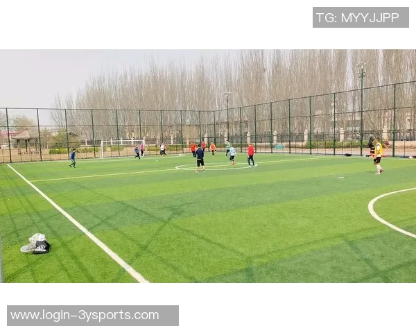 顺义足球场周边设施与活动推荐助你畅享精彩足球时光